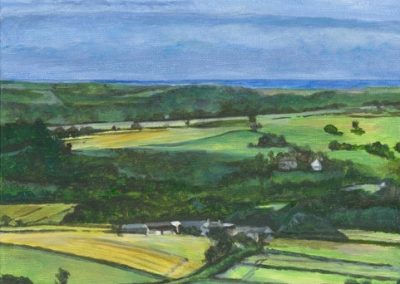 Landscape, Devon, Dartmoor, Louise Stock